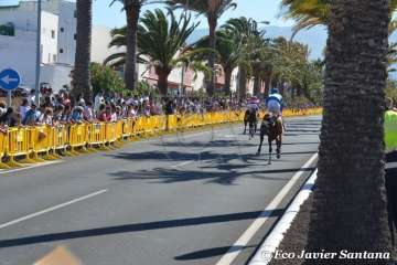 Carreras de caballo de las fiestas de San Juan 2018 de Telde (Foto Francisco Javier Santana)